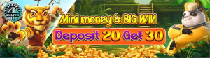 Deposit 20 get 30 bonus